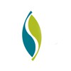 Brendle Group