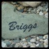 Briggs Contracting