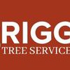 Briggs Tree Service