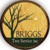 Briggs Tree Service