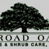 Broad Oak Tree & Shrub Care