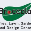 Broccolo Tree & Lawn Care
