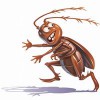 Broken Arrow Pest Control