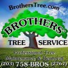 Brothers' Tree Service