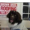 Brown Bros Roofing