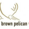 Brown Pelican Group