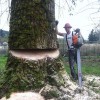 Bruhn Logging & Tree Service