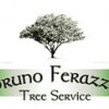Bruno Ferazza Tree Service & Stump Removal