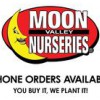 Moon Valley Nurseries Palm Paradise