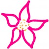 Buds 'N Bloom Design Studio