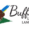 Buffalo Lawn & Landscape