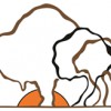 Buffalo Treehouse