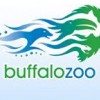 The Buffalo Zoo