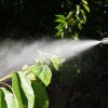Bug Defender Pest Management