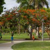 501 Palm