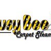 Busy Bee Carpet Steamers