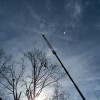 Butler Tree Service