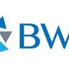 BWO Insurance Group