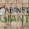 Cabinet Giant