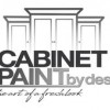 Cabinet Paint By Design