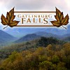 Cabins Of Pigeon Forge