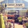 Cactus Jungle Nursery & Garden