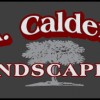 Calderon Landscaping