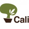 California Plantscapes