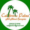 California Palms