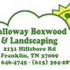 Calloway Boxwood