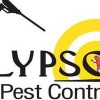 Calypso Pest Control