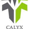 Calyx Builds