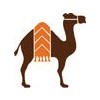 Camel Custom Canvas Shop