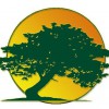 Camelot Tree & Shrub