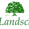 C & D Landscape