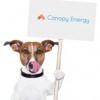 Canopy Energy Consulting