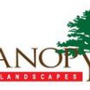 Canopy Landscapes