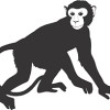 Cape Cod Gutter Monkeys. Com