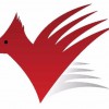 Cardinal Construction