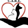 Care