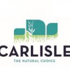 Carlisle Electric