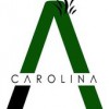 Carolina Advanced Home Services