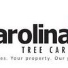 Carolina Tree Care