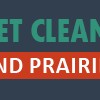 Carpet Cleaner Grand Prairie