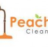 Peachtree Carpet Cleaning Atlanta GA