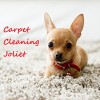 Carpet Cleaning Joliet