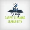 Tulip Cleaning Services