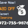 The Little Elm Carpet Cleaning