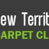 Carpet Cleaning New Territory TX