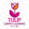 Carpet Cleaning Rye NY